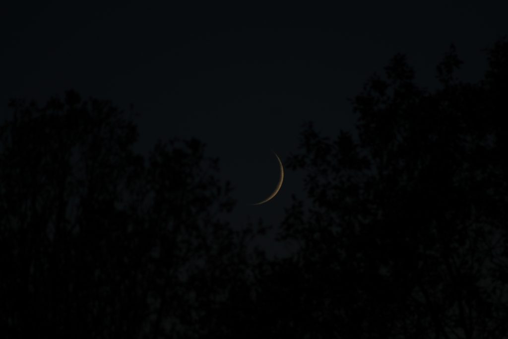 Moon