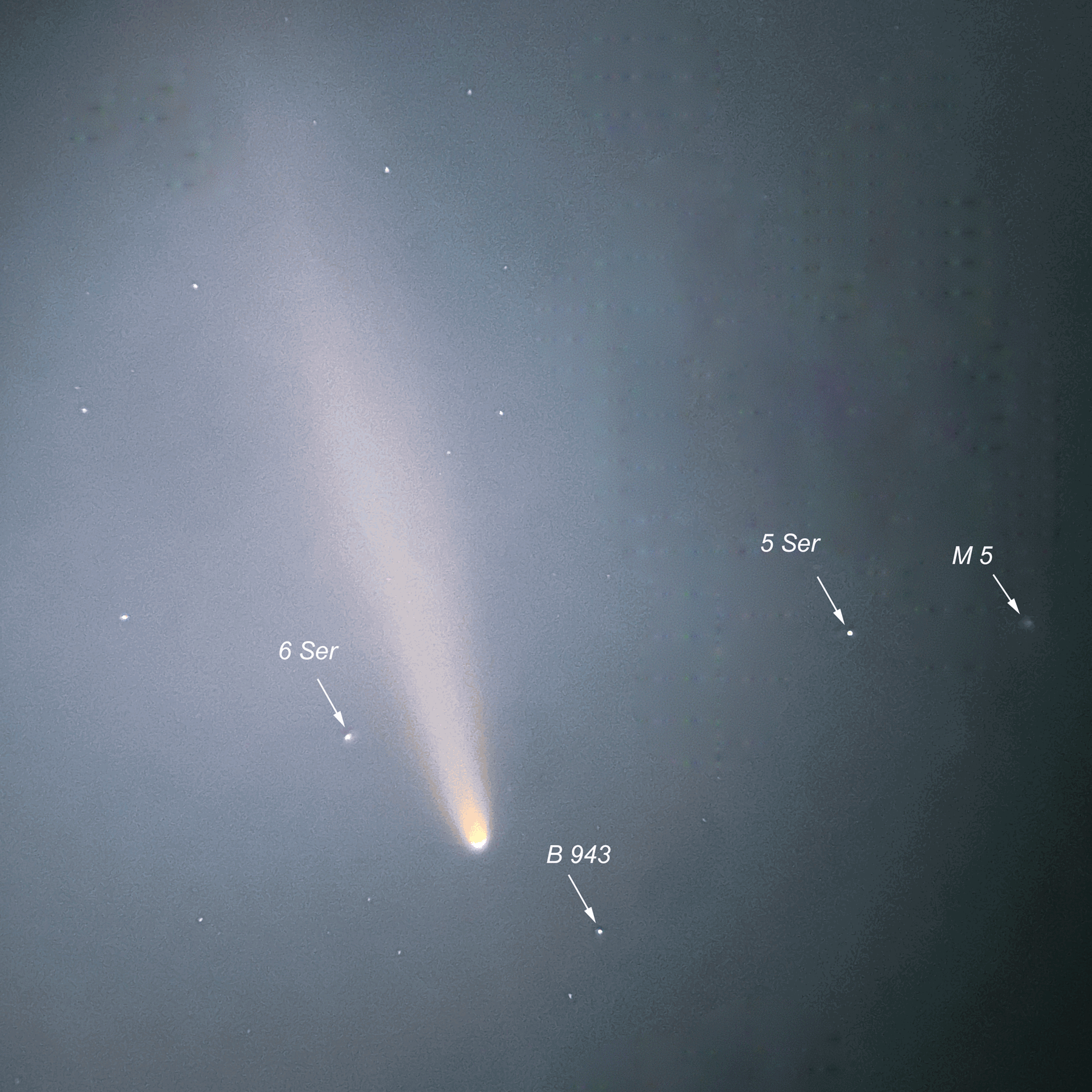 C/2023 A3