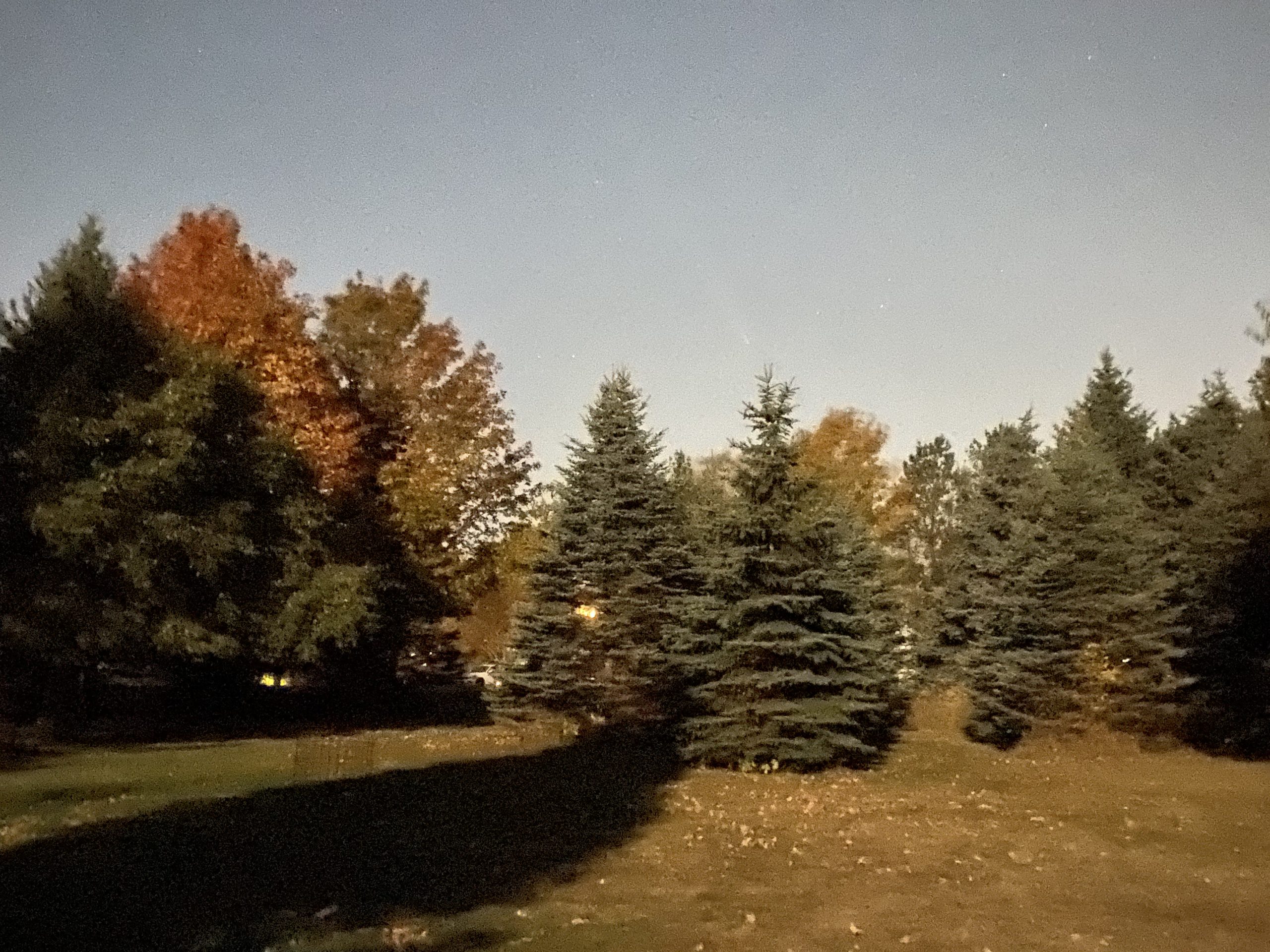 Oct 17